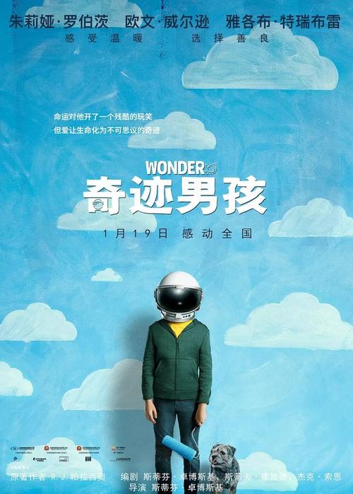 本科毕业证书编号